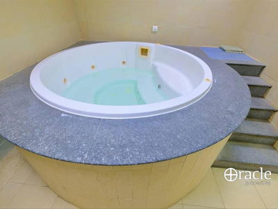 Rose, United Arab Emirates  Rose, United Arab Emirates