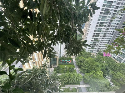 Mandarin Garden, Vietnam Mandarin Garden, Vietnam