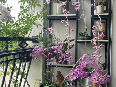 Royal City, Vietnam Royal City, Vietnam