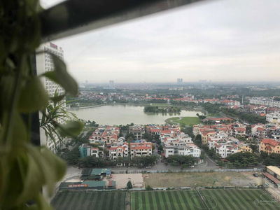 Green Stars, Vietnam Green Stars, Vietnam