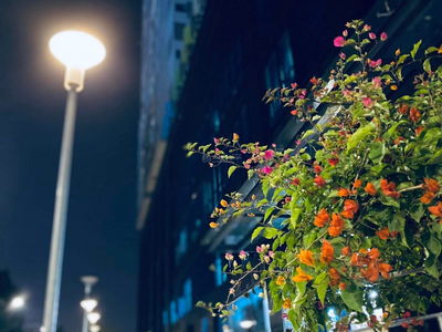 GoldSeason, Vietnam GoldSeason, Vietnam