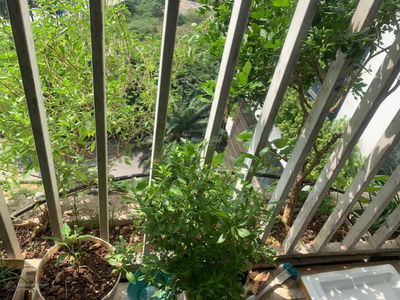 Ecolife Capitol, Vietnam Ecolife Capitol, Vietnam