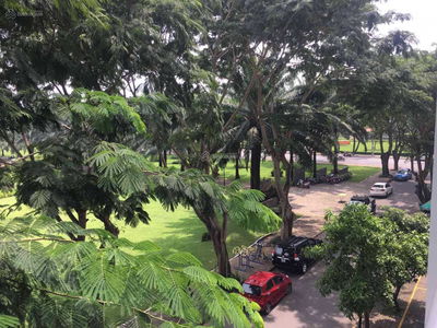 My Vien, Vietnam My Vien, Vietnam