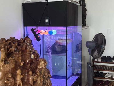 Topaz Elite, Vietnam Topaz Elite, Vietnam