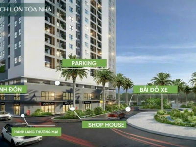 New Lavida, Vietnam New Lavida, Vietnam