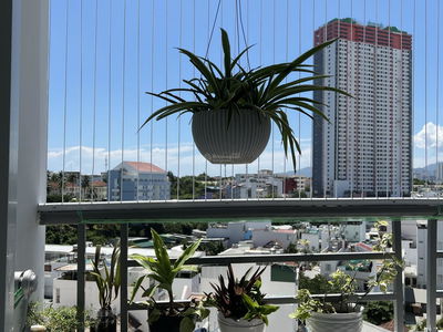 Muong Thanh Vien Trieu, Vietnam Muong Thanh Vien Trieu, Vietnam