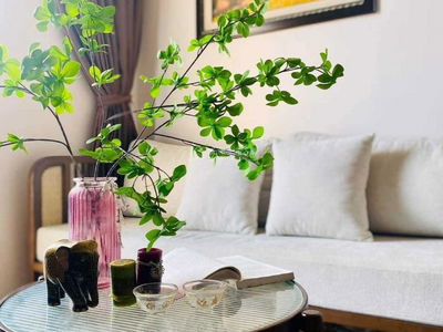 Sky Oasis Apartment, Vietnam Sky Oasis Apartment, Vietnam