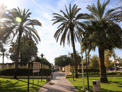 The Flagship Two The Flagship Two