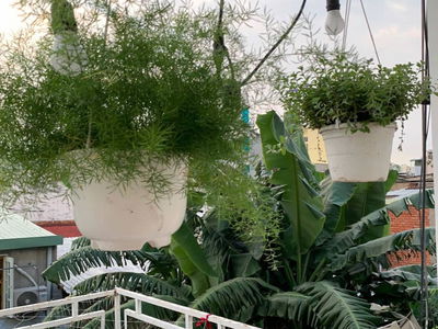 Gehäuse In Ho Chi Minh City, Vietnam Gehäuse In Ho Chi Minh City, Vietnam