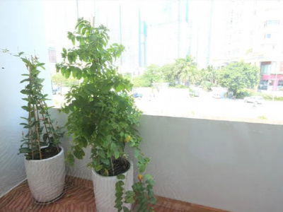 Logement dans Ho Chi Minh City, Vietnam Logement dans Ho Chi Minh City, Vietnam