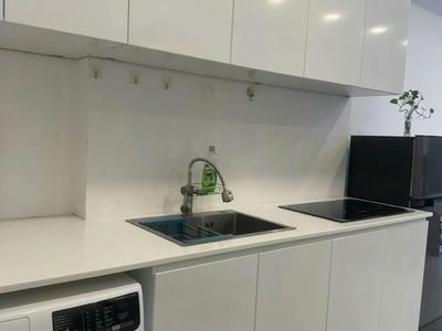 Millennium Masters, Vietnam Millennium Masters, Vietnam