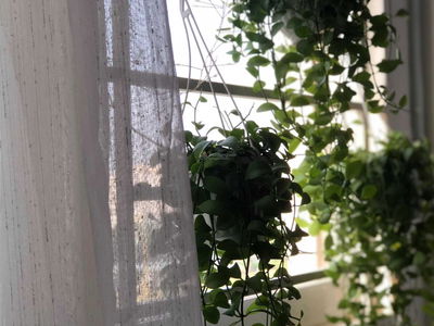 Ehome S, Vietnam Ehome S, Vietnam