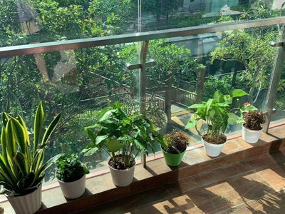 Happy In View, Vietnam Happy In View, Vietnam