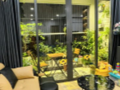 Dreamland Bonanza, Vietnam Dreamland Bonanza, Vietnam