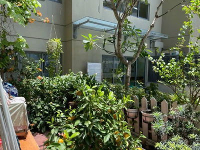 Mastery, Vietnam Mastery, Vietnam