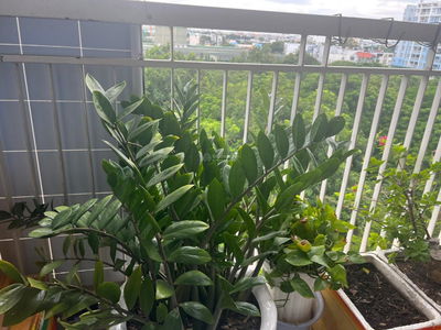 TaniBuilding Son Ky 1, Vietnam TaniBuilding Son Ky 1, Vietnam