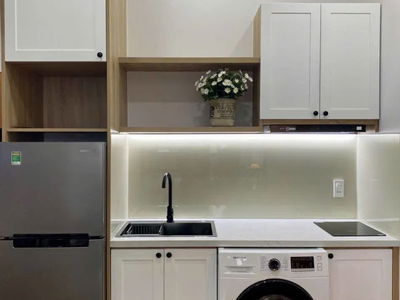 Housing in Ho Chi Minh City, Vietnam Housing in Ho Chi Minh City, Vietnam