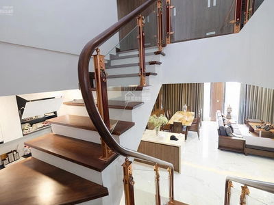 The Golden Armor, Vietnam The Golden Armor, Vietnam