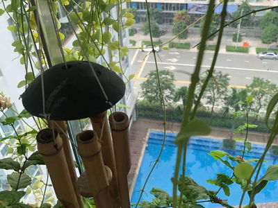 Sarimi Room, Vietnam Sarimi Room, Vietnam