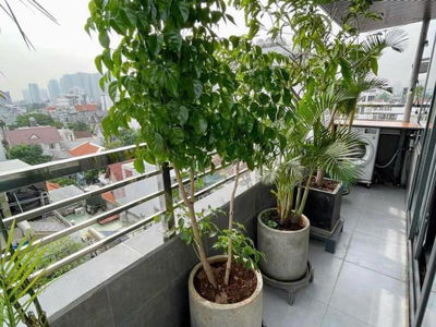 Logement dans Ho Chi Minh City, Vietnam Logement dans Ho Chi Minh City, Vietnam