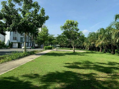 The House, Vietnam The House, Vietnam