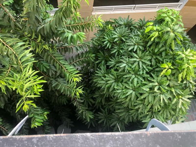 Logement dans Ho Chi Minh City, Vietnam  Logement dans Ho Chi Minh City, Vietnam