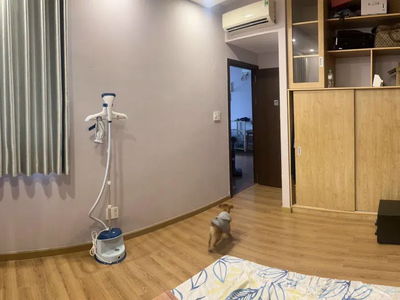 Ruby Celadon, Vietnam Ruby Celadon, Vietnam