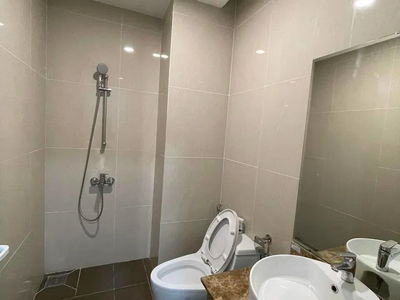 Golden King, Vietnam Golden King, Vietnam