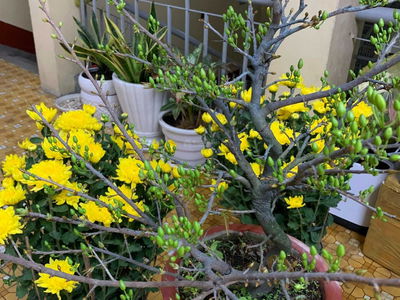 246 Tran Ke Xuong Street, Vietnam 246 Tran Ke Xuong Street, Vietnam