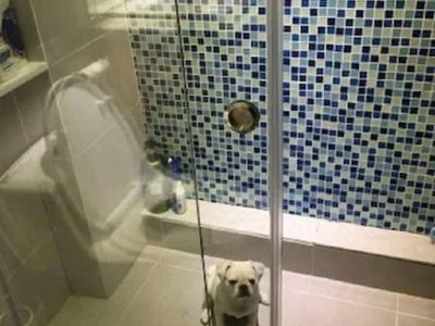 Mieu Noi apartment, Vietnam Mieu Noi apartment, Vietnam