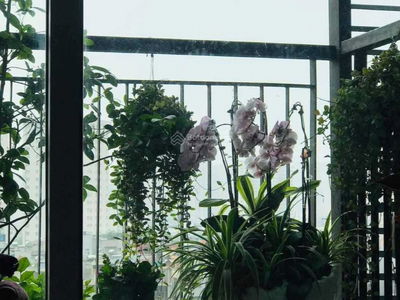 Seasons Avenue, Vietnam Seasons Avenue, Vietnam