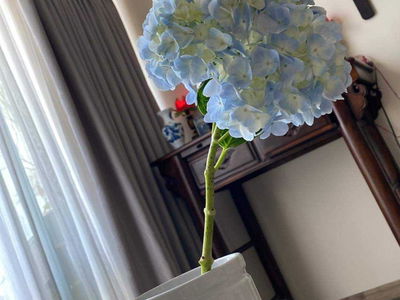 The Estella, Vietnam  The Estella, Vietnam