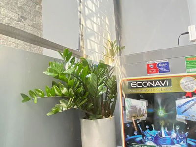 Жилье в Ho Chi Minh City, Vietnam Жилье в Ho Chi Minh City, Vietnam