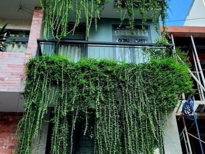 Housing in Ho Chi Minh City, Vietnam Housing in Ho Chi Minh City, Vietnam