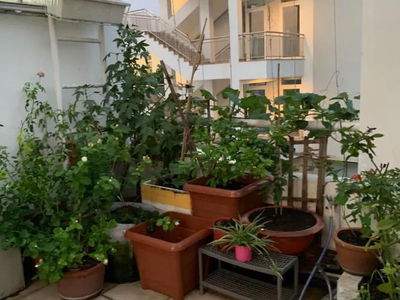 Жилье в Ho Chi Minh City, Vietnam  Жилье в Ho Chi Minh City, Vietnam