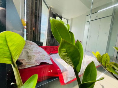 Housing in Ho Chi Minh City, Vietnam Housing in Ho Chi Minh City, Vietnam