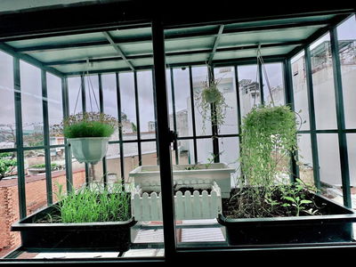 Housing in Ho Chi Minh City, Vietnam  Housing in Ho Chi Minh City, Vietnam