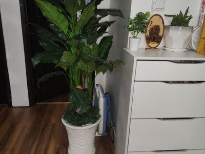 Gehäuse In Di An, Vietnam Gehäuse In Di An, Vietnam