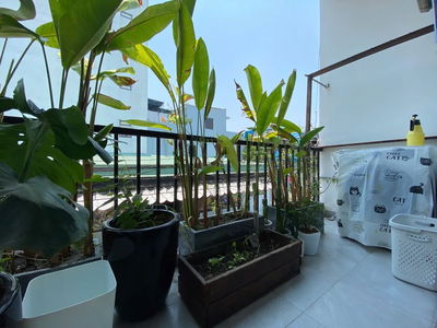 Logement dans Da Nang, Vietnam  Logement dans Da Nang, Vietnam