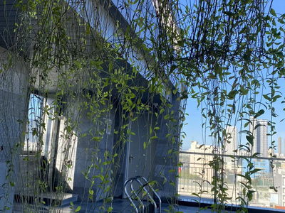 Жилье в Da Nang, Vietnam  Жилье в Da Nang, Vietnam