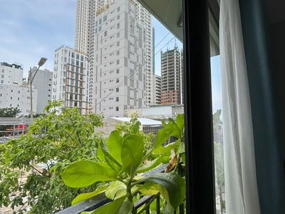 Housing in Da Nang, Vietnam Housing in Da Nang, Vietnam