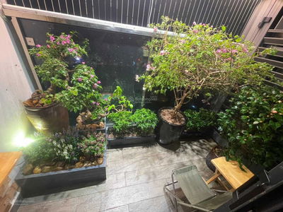 GoldSeason, Vietnam GoldSeason, Vietnam