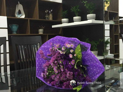 An Phu Apartment, Vietnam An Phu Apartment, Vietnam