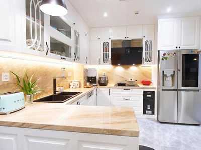 The Artemis Project, Vietnam The Artemis Project, Vietnam