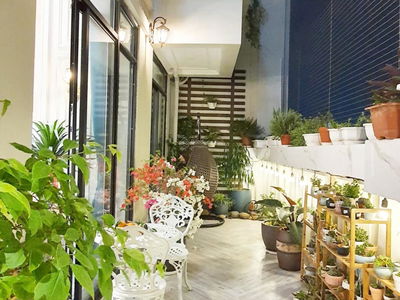 The Artemis Project, Vietnam The Artemis Project, Vietnam