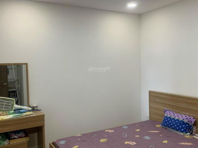 Calla Garden, Vietnam Calla Garden, Vietnam