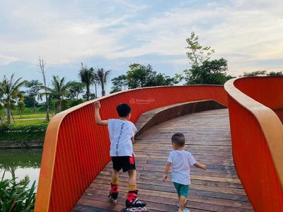 - An Lac Green Symphony, Vietnam - An Lac Green Symphony, Vietnam