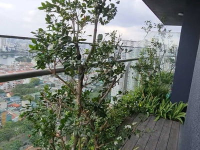 Green Diamond, Vietnam Green Diamond, Vietnam