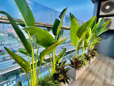 Thanh Xuan Complex Project, Vietnam Thanh Xuan Complex Project, Vietnam