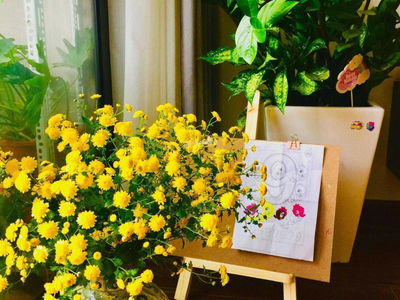 Bohemia Residence, Vietnam Bohemia Residence, Vietnam